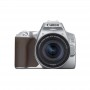 Canon EOS 250D + 18-55mm f / 4.0-5.6 IS STM (Silver)