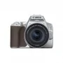 Canon EOS 250D + 18-55mm f/4.0-5.6 IS STM (Plata)