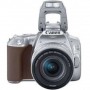 Canon EOS 250D + 18-55mm f / 4.0-5.6 IS STM (Silver)