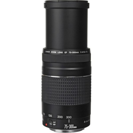 Comprar Canon Ef 75 300mm F 4 5 6 Iii Ganga Electronica