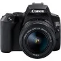 Canon EOS 250D Kit 18-55mm DC III