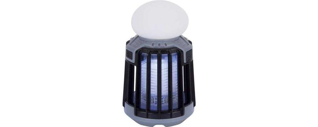 Bug trap