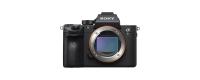 Sony Mirrorless Cameras