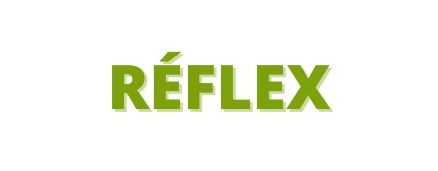 REFLEX CAMERA RENTAL AT THE BEST PRICE - FIND YOUR CAMERA