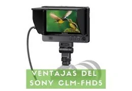 ¿Por qué necesitas un monitor para tu cámara? Descubre las ventajas del Sony CLM-FHD5