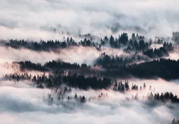 Consejos para Fotografiar la Niebla y el Humo